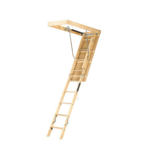 LADDERS